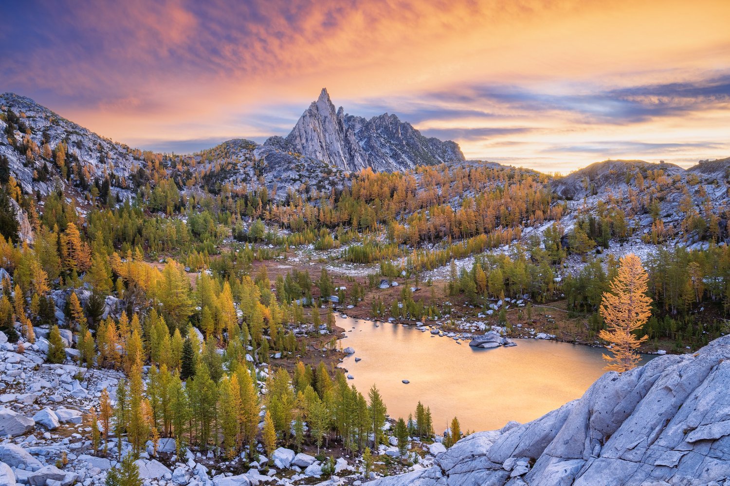 Enchanted Morning